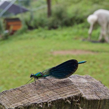 Posada Pet Friendly El Molino De Cantabria Entrambasaguas  Ngoại thất bức ảnh