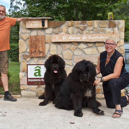 Posada Pet Friendly El Molino De Cantabria Entrambasaguas  Ngoại thất bức ảnh