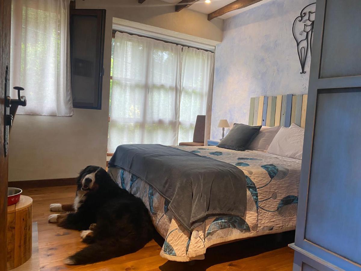 Posada Pet Friendly El Molino De Cantabria Entrambasaguas  Ngoại thất bức ảnh