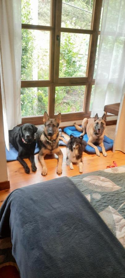 Posada Pet Friendly El Molino De Cantabria Entrambasaguas  Ngoại thất bức ảnh