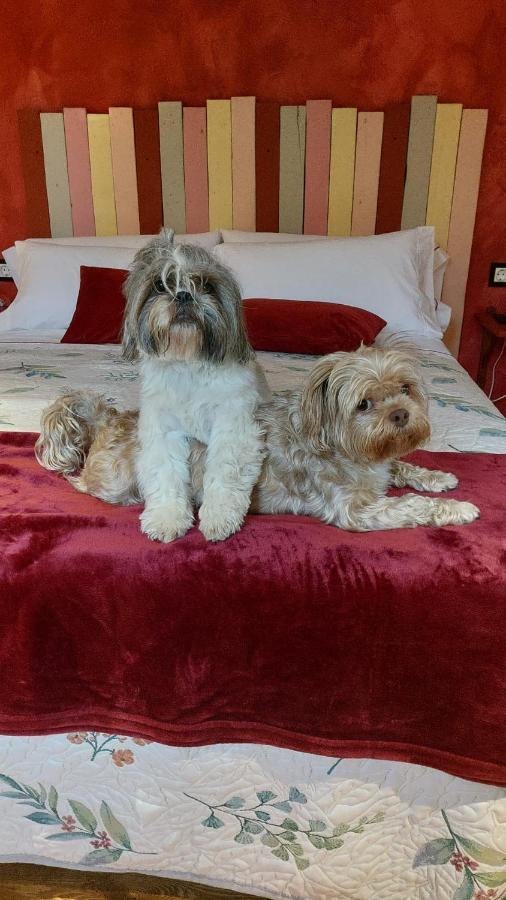 Posada Pet Friendly El Molino De Cantabria Entrambasaguas  Ngoại thất bức ảnh
