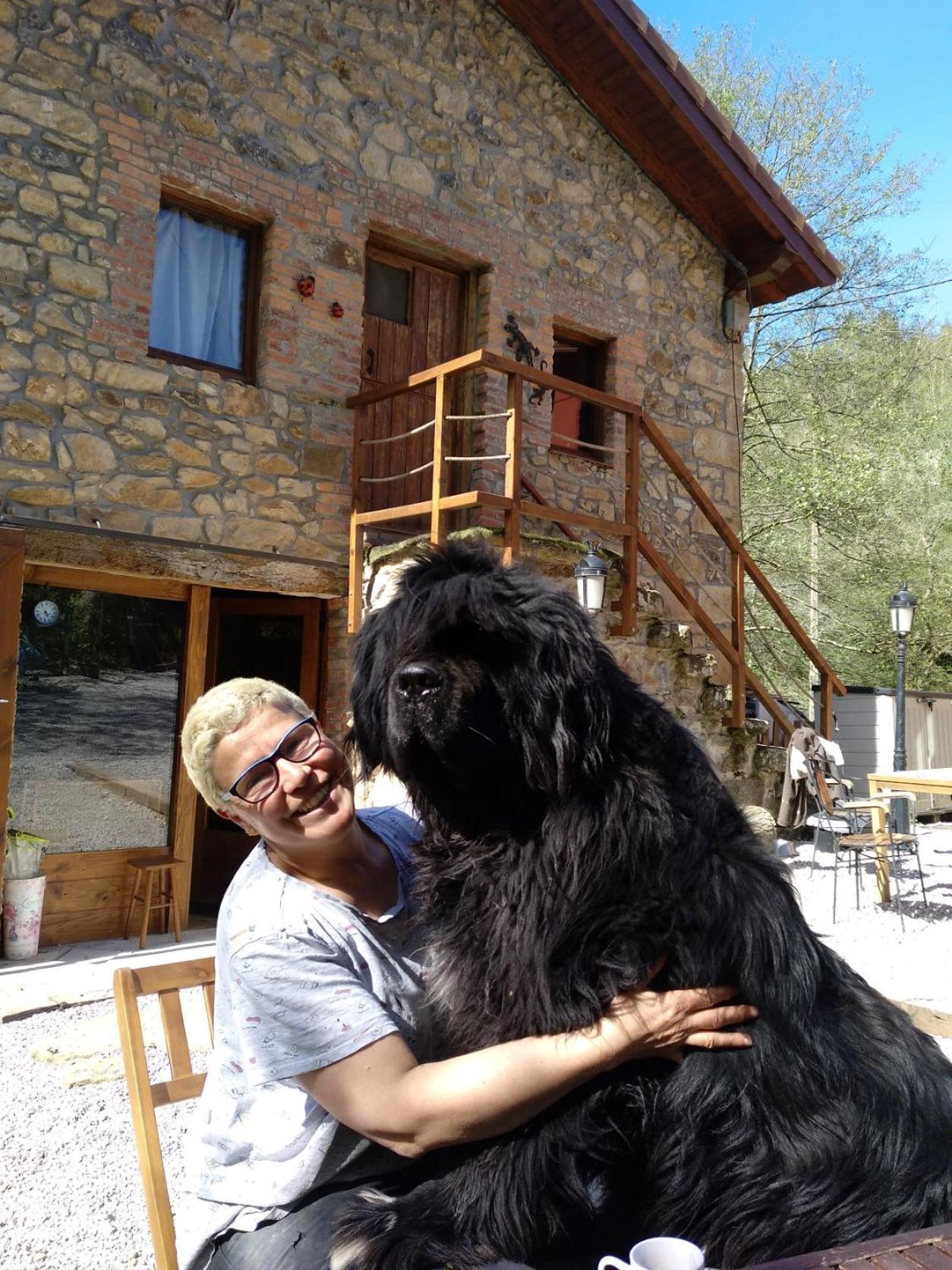 Posada Pet Friendly El Molino De Cantabria Entrambasaguas  Ngoại thất bức ảnh