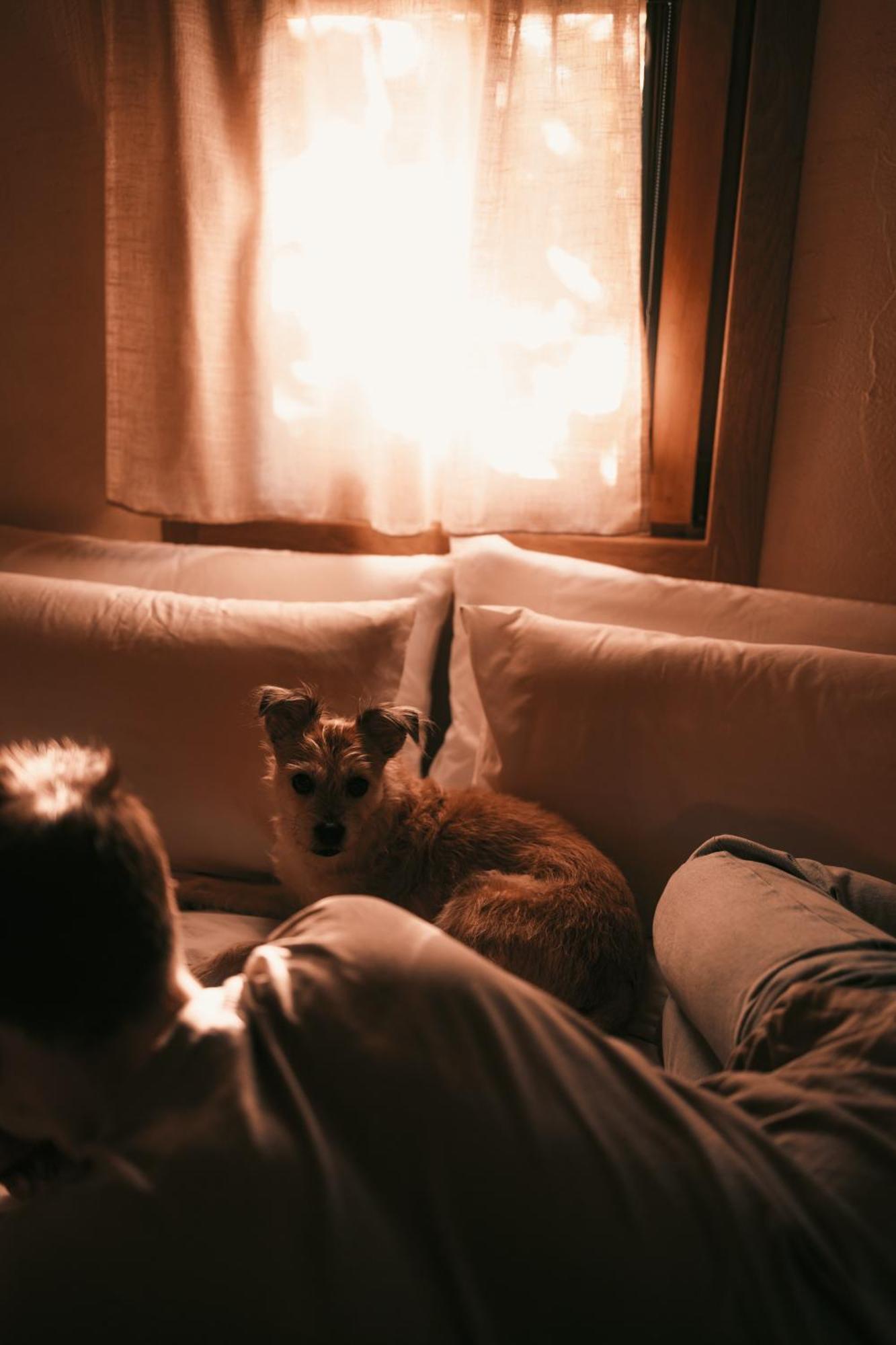 Posada Pet Friendly El Molino De Cantabria Entrambasaguas  Ngoại thất bức ảnh