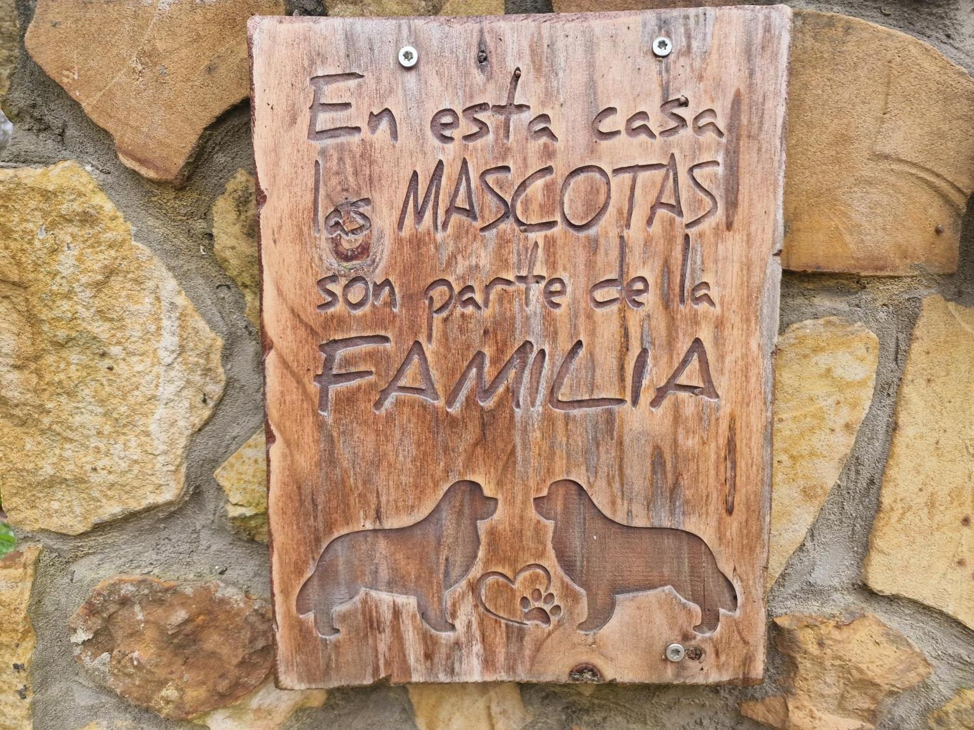 Posada Pet Friendly El Molino De Cantabria Entrambasaguas  Ngoại thất bức ảnh
